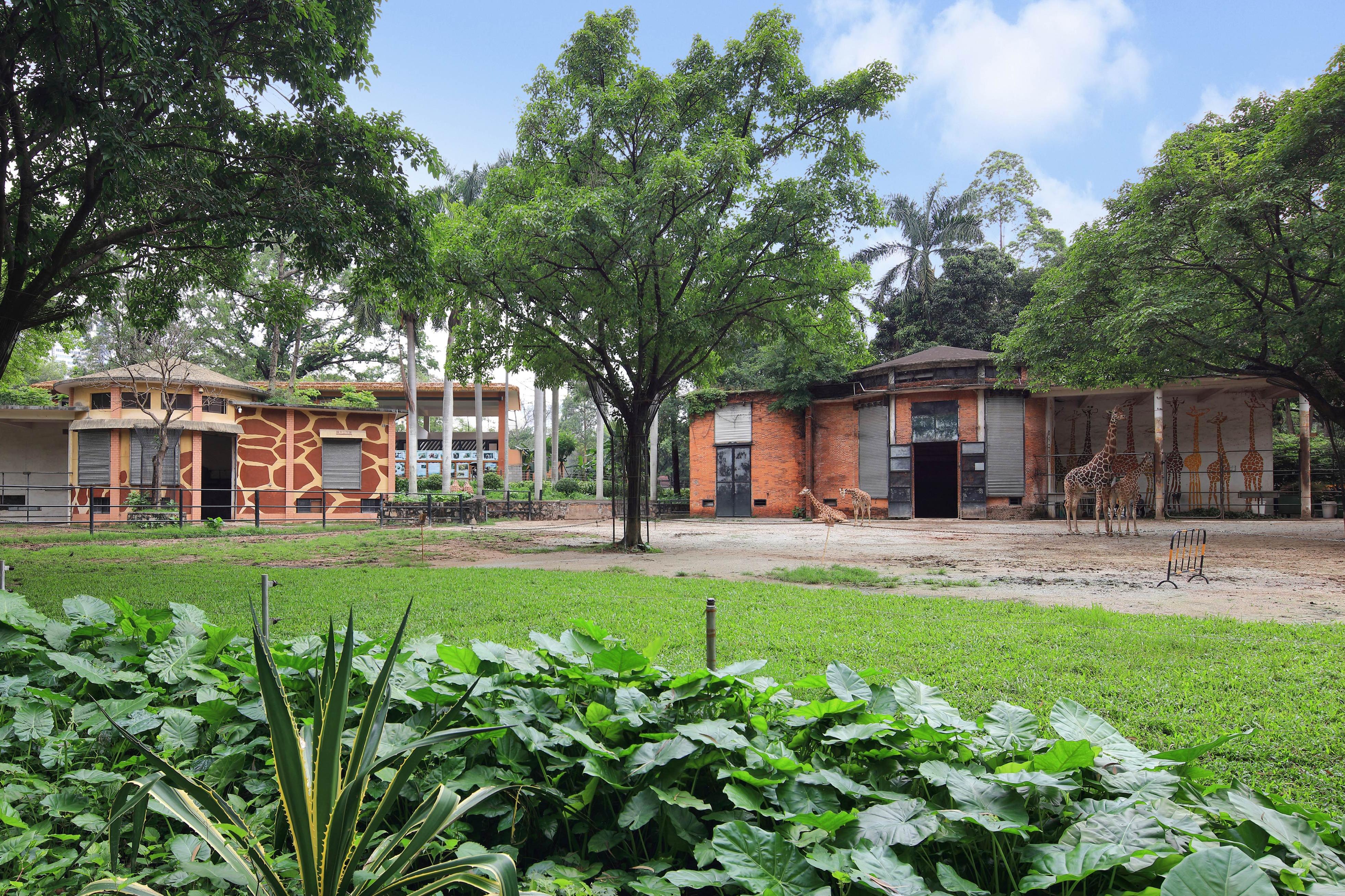 廣州動(dòng)物園升級(jí)改造工程